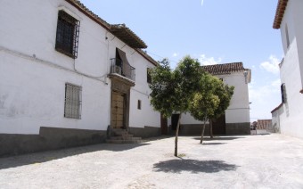 Plaza del Álamo (MR)